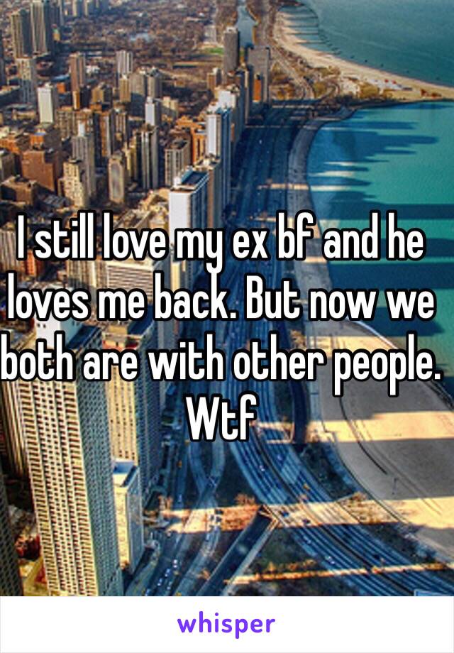 I still love my ex bf and he loves me back. But now we both are with other people. Wtf