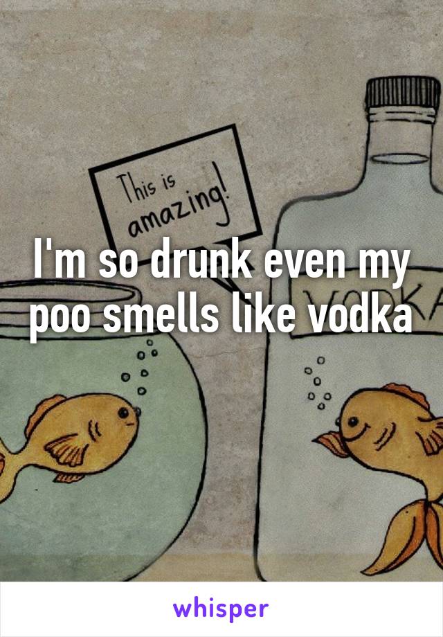 I'm so drunk even my poo smells like vodka 