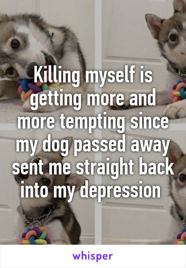 Killing myself is getting more and more tempting since my dog passed away sent me straight back into my depression 
