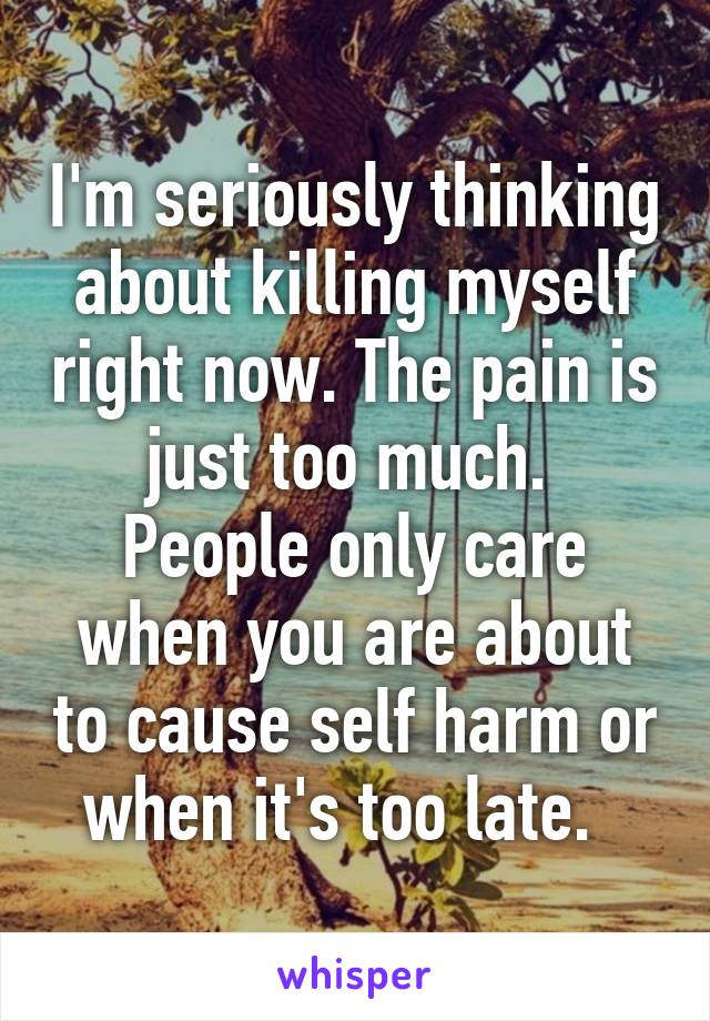 I'm seriously thinking about killing myself right now. The pain is just too much.  People only care when you are about to cause self harm or when it's too late.  