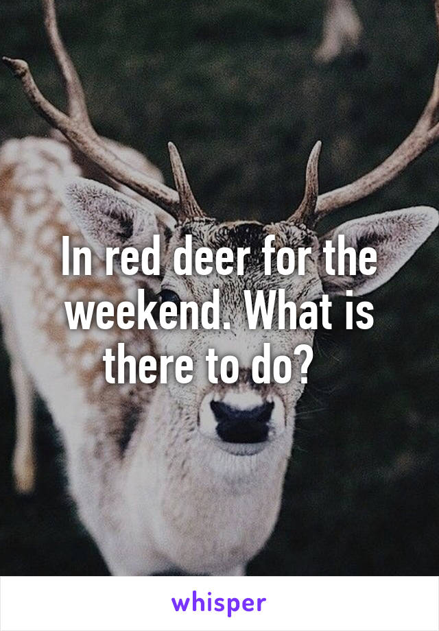 In red deer for the weekend. What is there to do?  