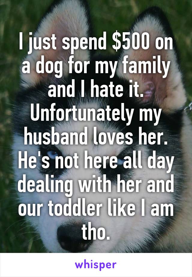 I just spend $500 on a dog for my family and I hate it. Unfortunately my husband loves her. He's not here all day dealing with her and our toddler like I am tho.