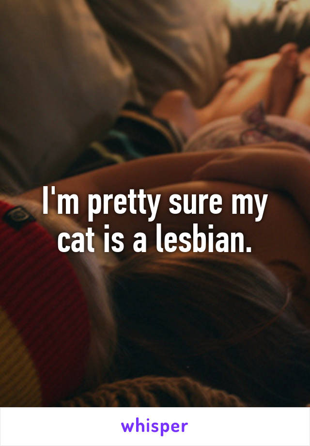I'm pretty sure my cat is a lesbian.