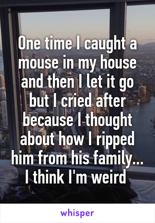 One time I caught a mouse in my house and then I let it go but I cried after because I thought about how I ripped him from his family... I think I'm weird 
