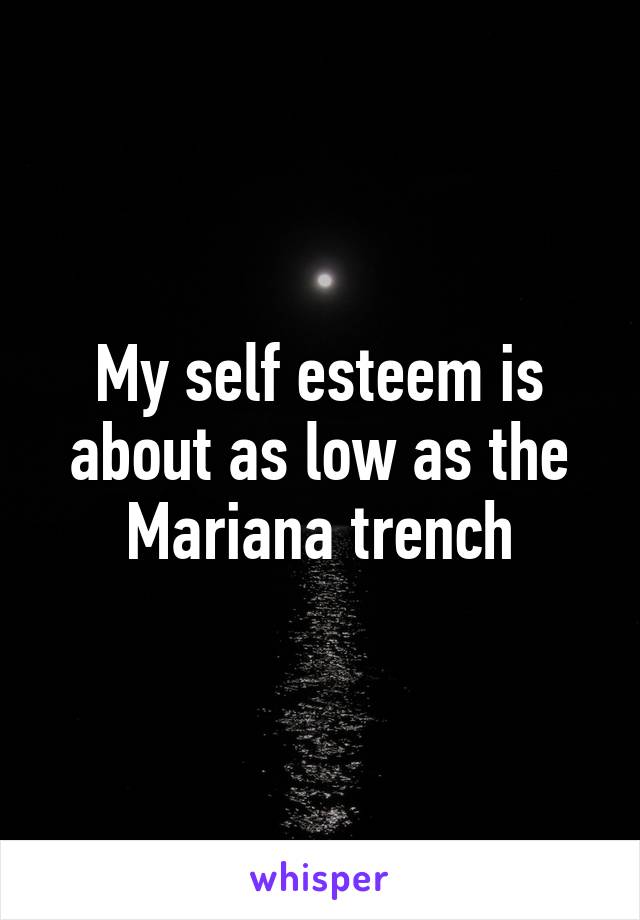 My self esteem is about as low as the Mariana trench