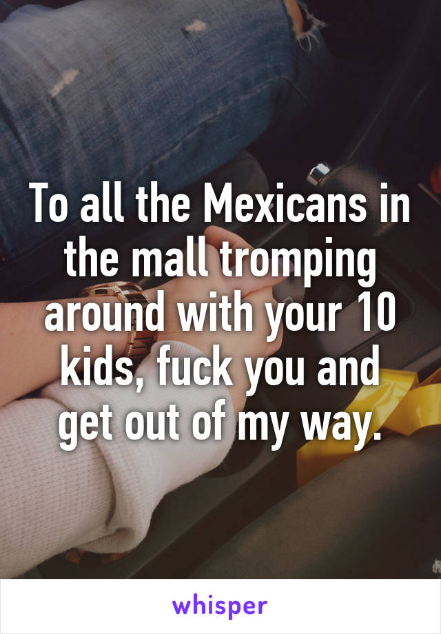 To all the Mexicans in the mall tromping around with your 10 kids, fuck you and get out of my way.
