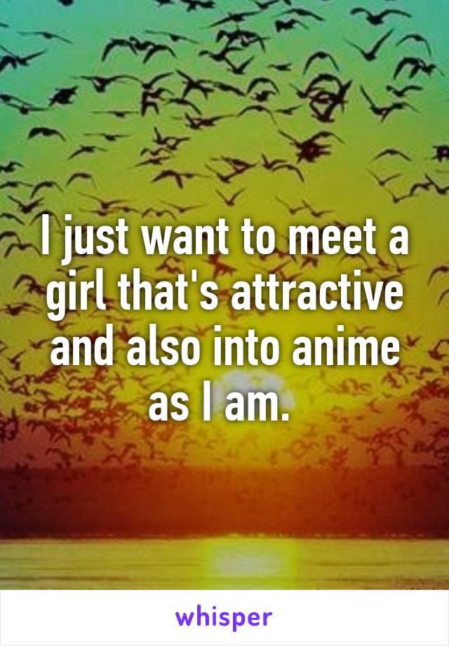 I just want to meet a girl that's attractive and also into anime as I am. 
