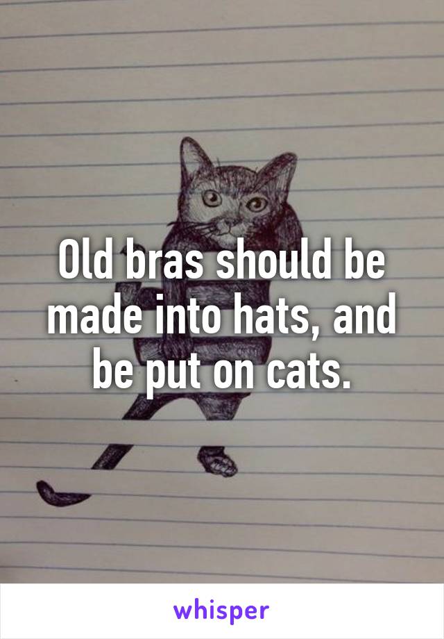 Old bras should be made into hats, and be put on cats.
