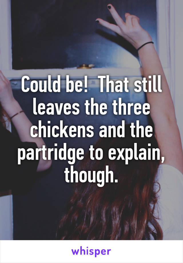 Could be!  That still leaves the three chickens and the partridge to explain, though.