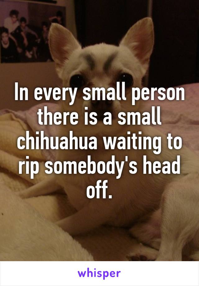 In every small person there is a small chihuahua waiting to rip somebody's head off.