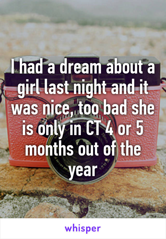 I had a dream about a girl last night and it was nice, too bad she is only in CT 4 or 5 months out of the year