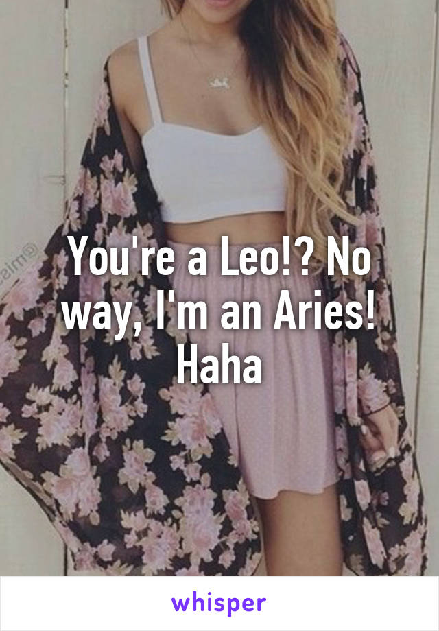 You're a Leo!? No way, I'm an Aries!
Haha