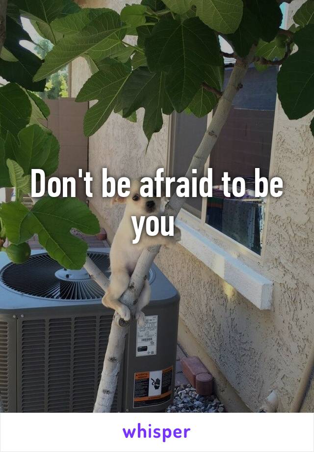 Don't be afraid to be you 
