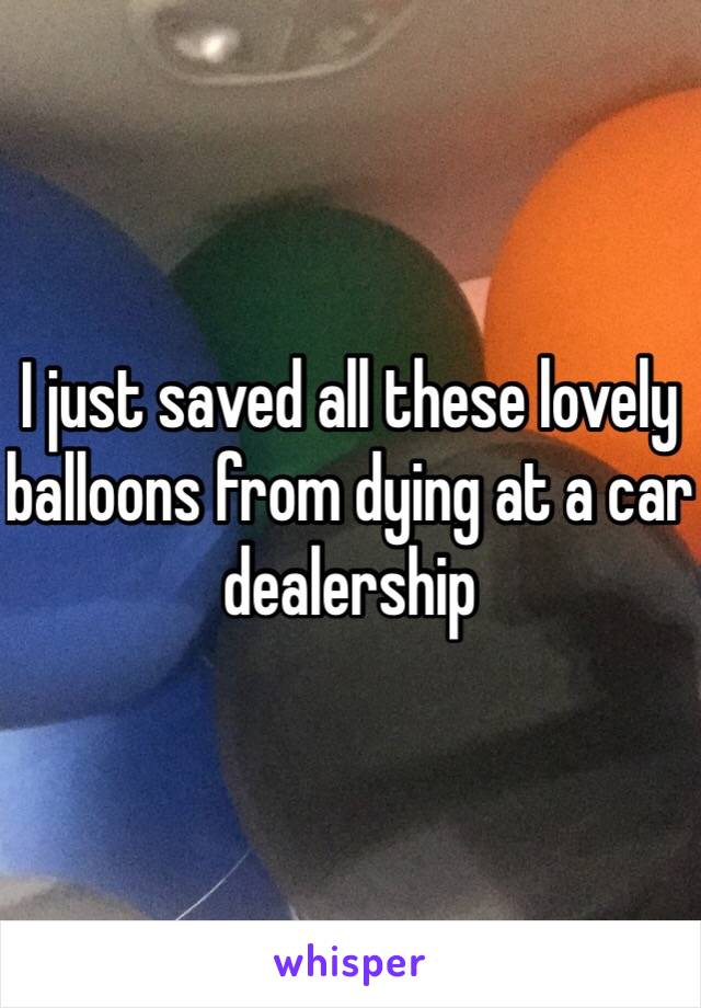 I just saved all these lovely balloons from dying at a car dealership