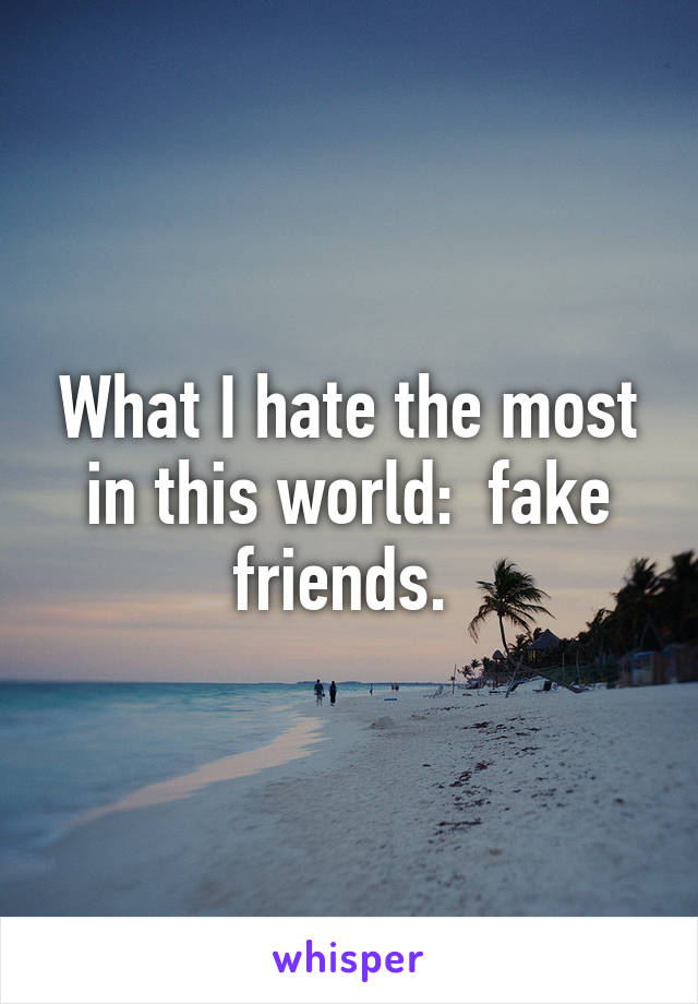 What I hate the most in this world:  fake friends. 