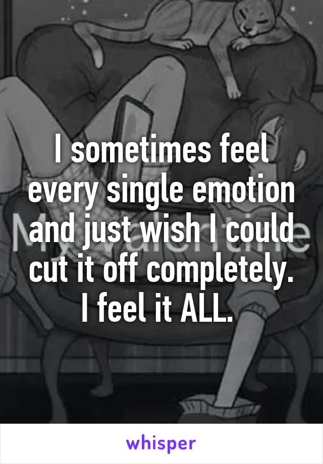 I sometimes feel every single emotion and just wish I could cut it off completely. I feel it ALL. 