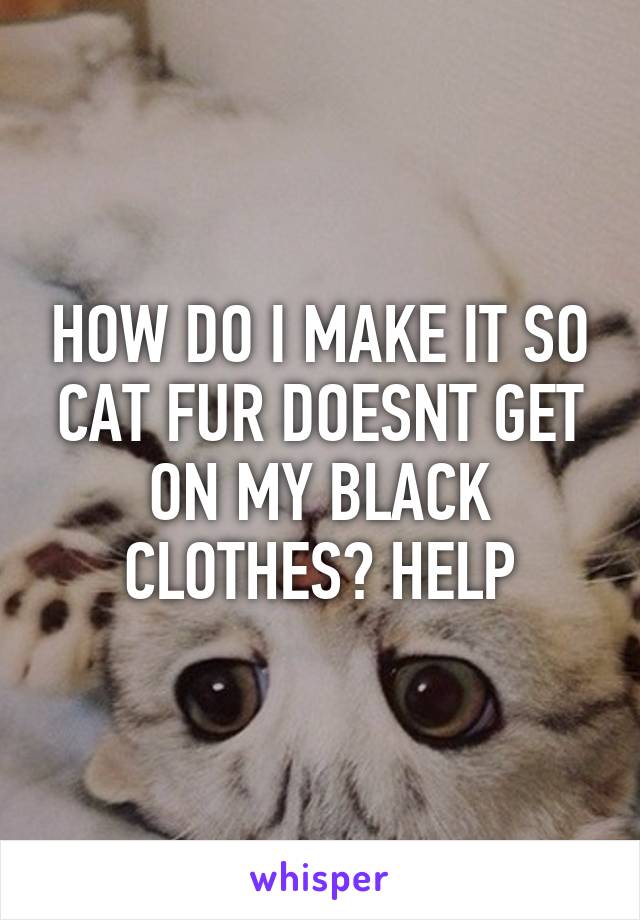 HOW DO I MAKE IT SO CAT FUR DOESNT GET ON MY BLACK CLOTHES? HELP