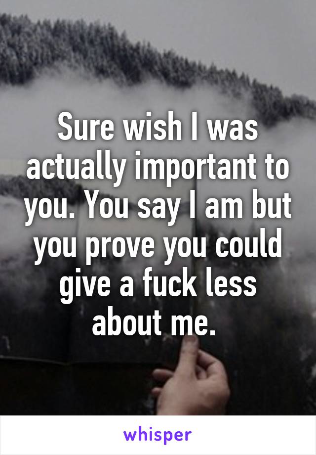 Sure wish I was actually important to you. You say I am but you prove you could give a fuck less about me. 