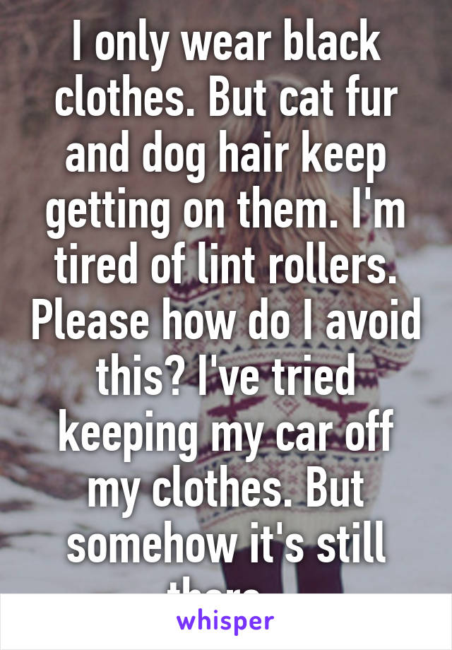 I only wear black clothes. But cat fur and dog hair keep getting on them. I'm tired of lint rollers. Please how do I avoid this? I've tried keeping my car off my clothes. But somehow it's still there. 