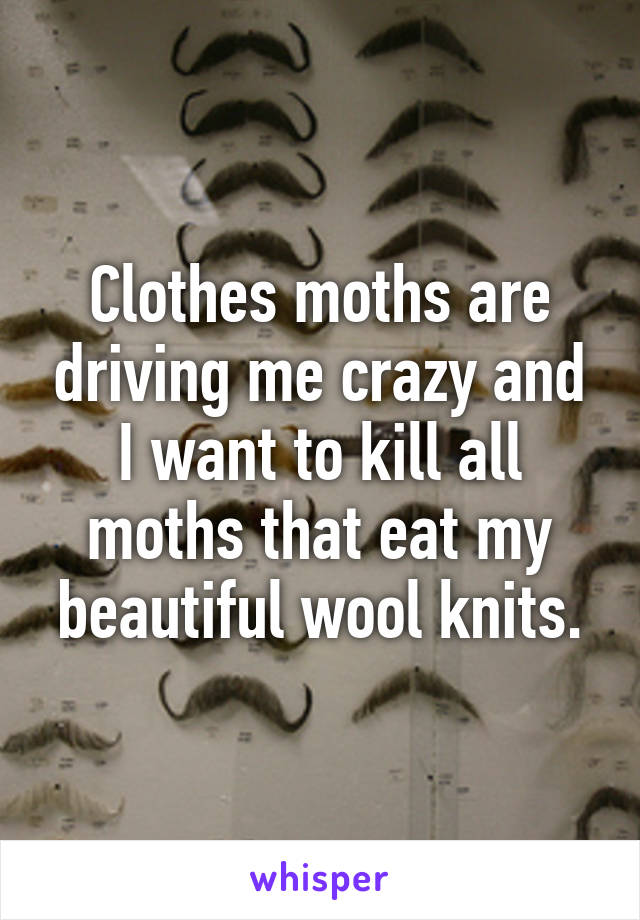 Clothes moths are driving me crazy and I want to kill all moths that eat my beautiful wool knits.