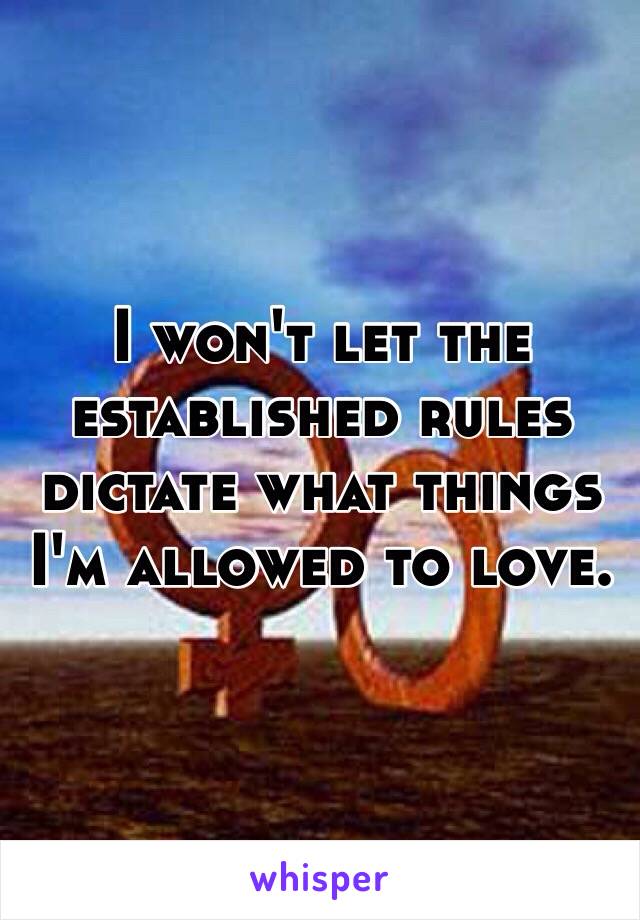 I won't let the established rules dictate what things I'm allowed to love.
