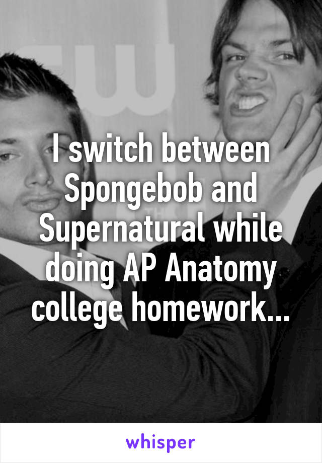 I switch between Spongebob and Supernatural while doing AP Anatomy college homework...