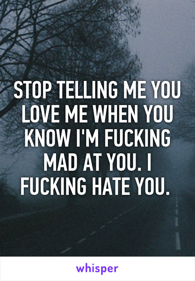 STOP TELLING ME YOU LOVE ME WHEN YOU KNOW I'M FUCKING MAD AT YOU. I FUCKING HATE YOU. 