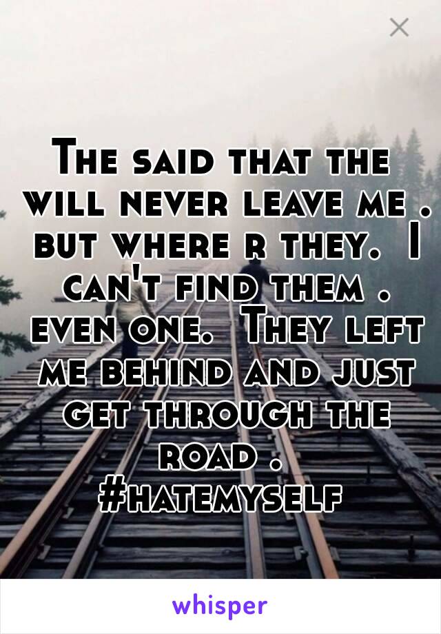 The said that the will never leave me . but where r they.  I can't find them . even one.  They left me behind and just get through the road . 
#hatemyself