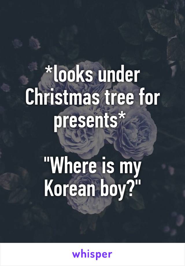 *looks under Christmas tree for presents* 

"Where is my Korean boy?"