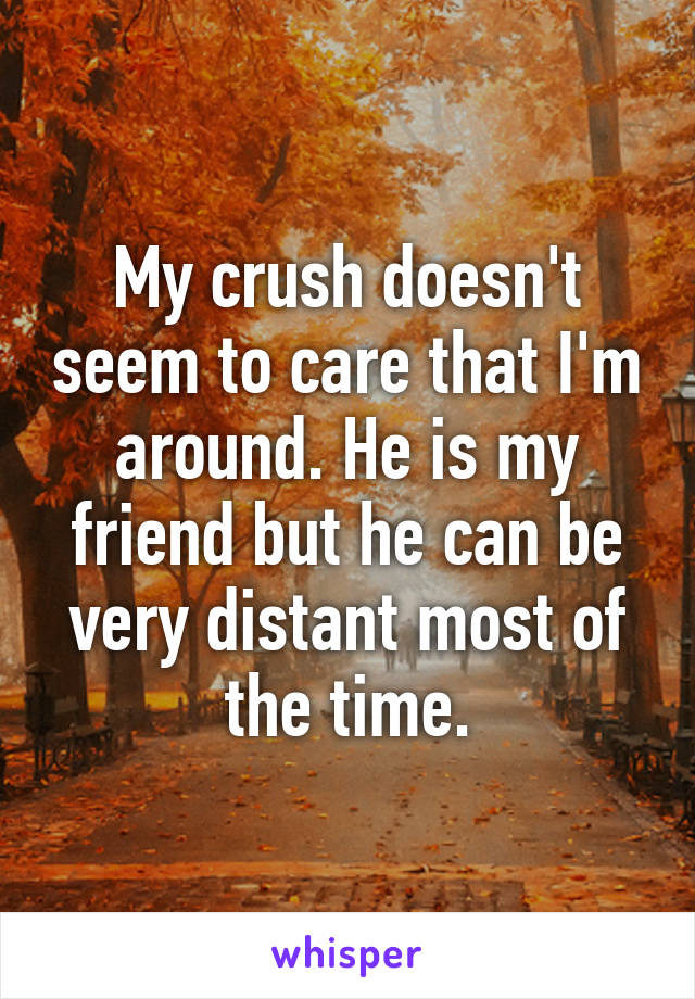 My crush doesn't seem to care that I'm around. He is my friend but he can be very distant most of the time.