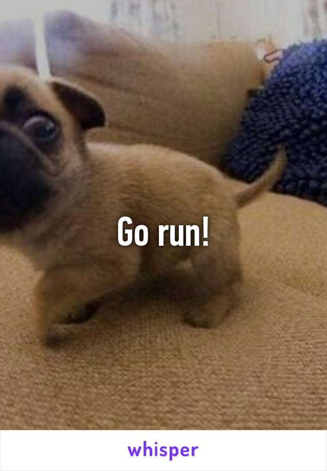 Go run!