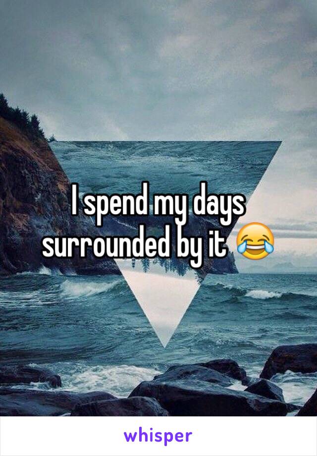 I spend my days surrounded by it 😂