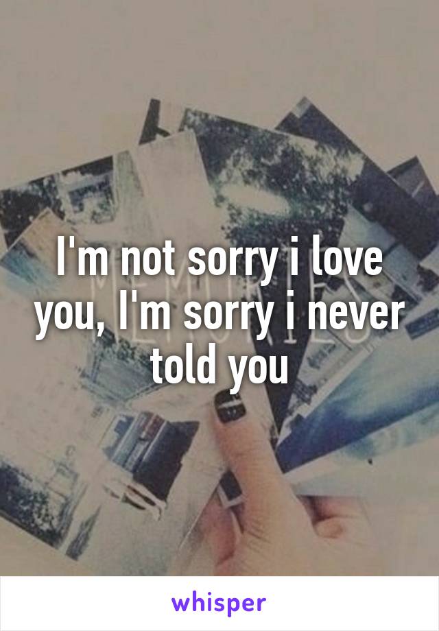 I'm not sorry i love you, I'm sorry i never told you