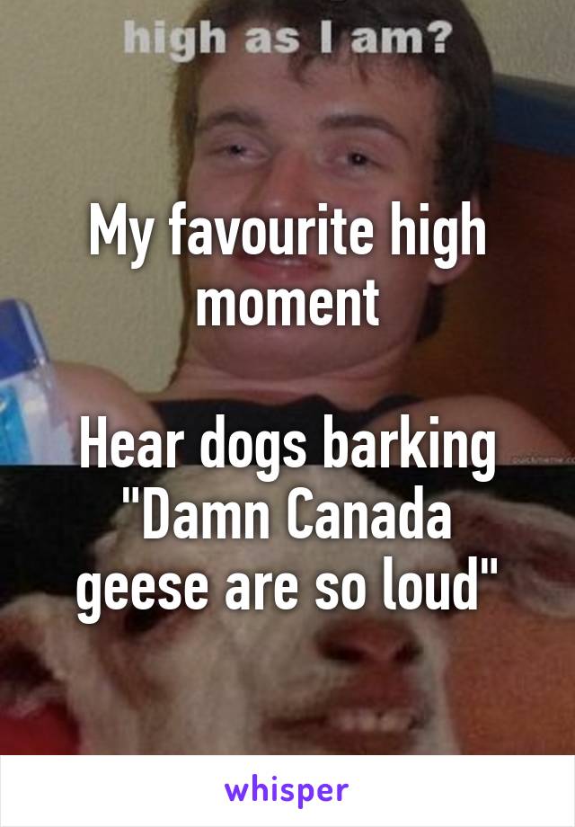 My favourite high moment

Hear dogs barking
"Damn Canada geese are so loud"
