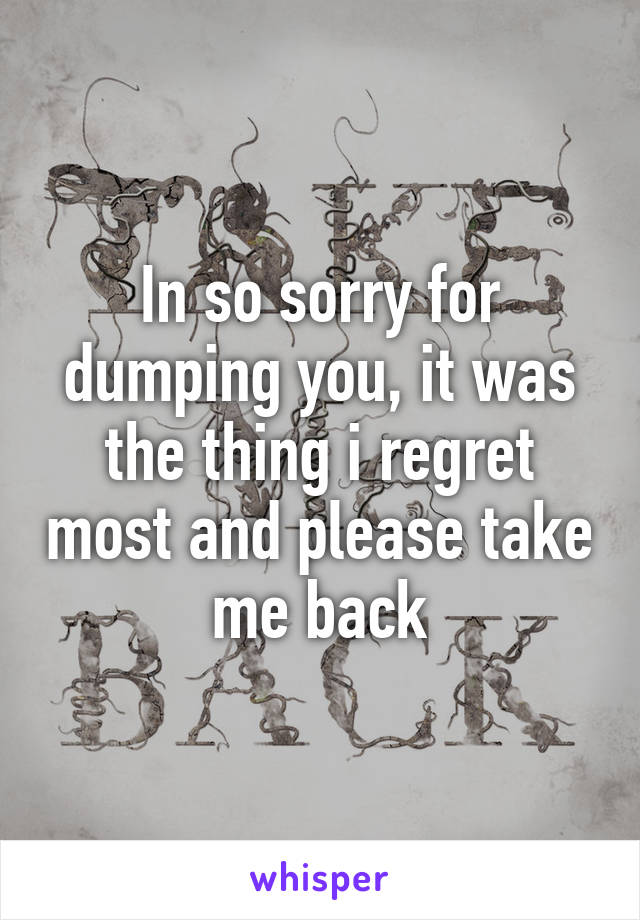 In so sorry for dumping you, it was the thing i regret most and please take me back