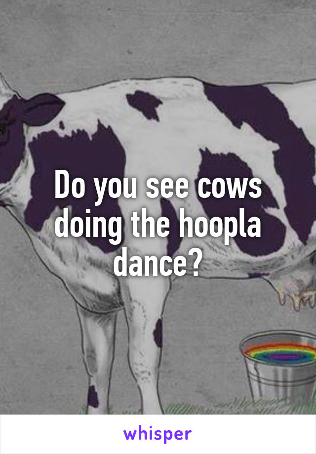 Do you see cows doing the hoopla dance?