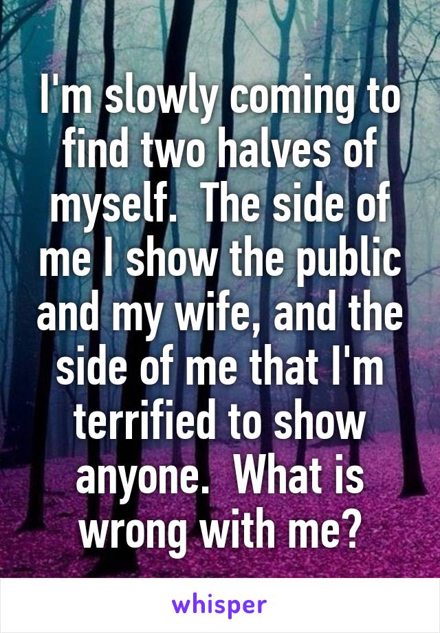 I'm slowly coming to find two halves of myself.  The side of me I show the public and my wife, and the side of me that I'm terrified to show anyone.  What is wrong with me?