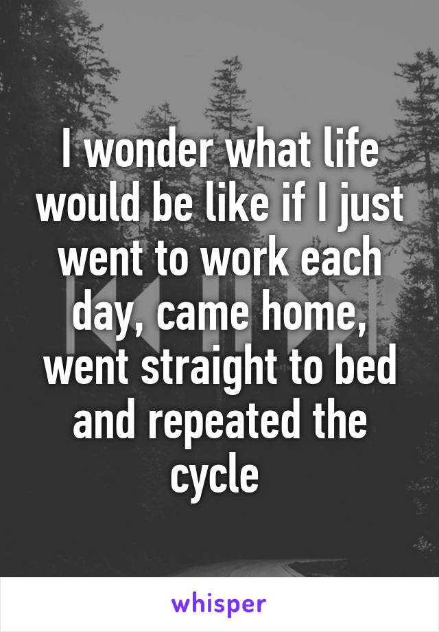 I wonder what life would be like if I just went to work each day, came home, went straight to bed and repeated the cycle 