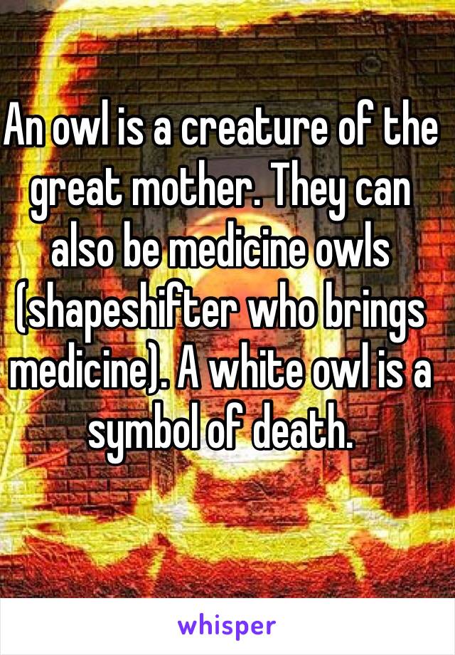 An owl is a creature of the great mother. They can also be medicine owls (shapeshifter who brings medicine). A white owl is a symbol of death. 