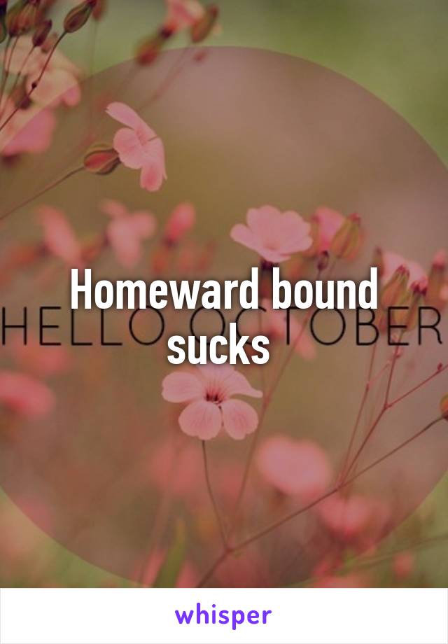 Homeward bound sucks 