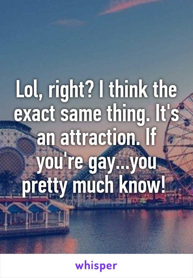 Lol, right? I think the exact same thing. It's an attraction. If you're gay...you pretty much know! 