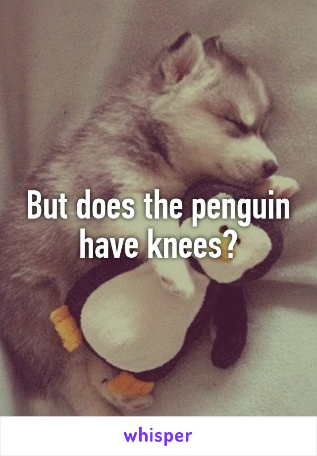 But does the penguin have knees?