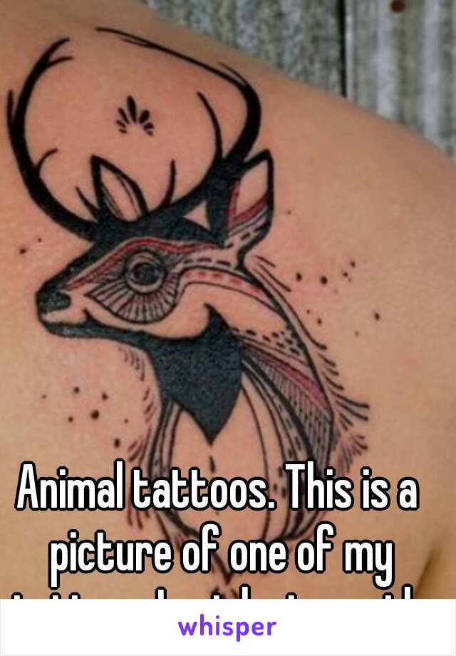 Animal tattoos. This is a picture of one of my tattoos I got last month.