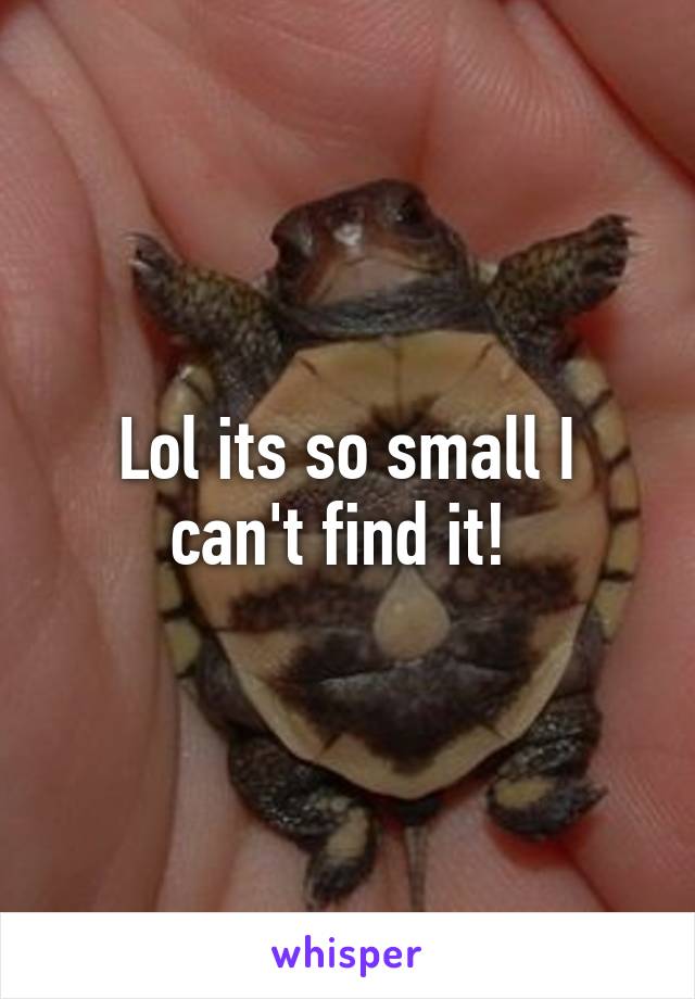 Lol its so small I can't find it! 