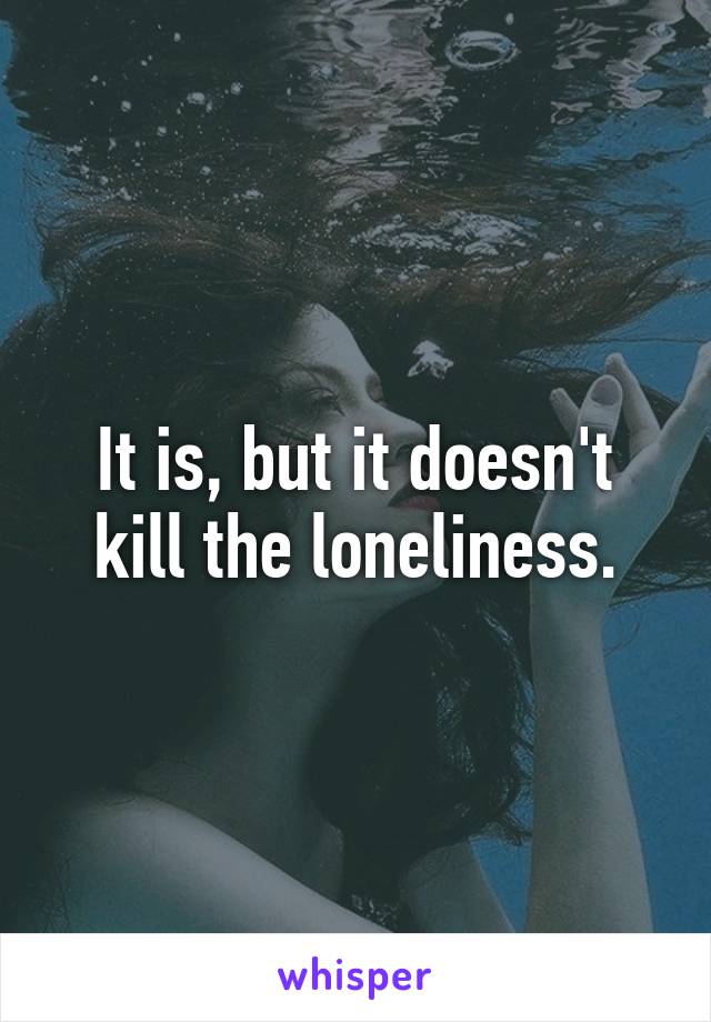 It is, but it doesn't kill the loneliness.