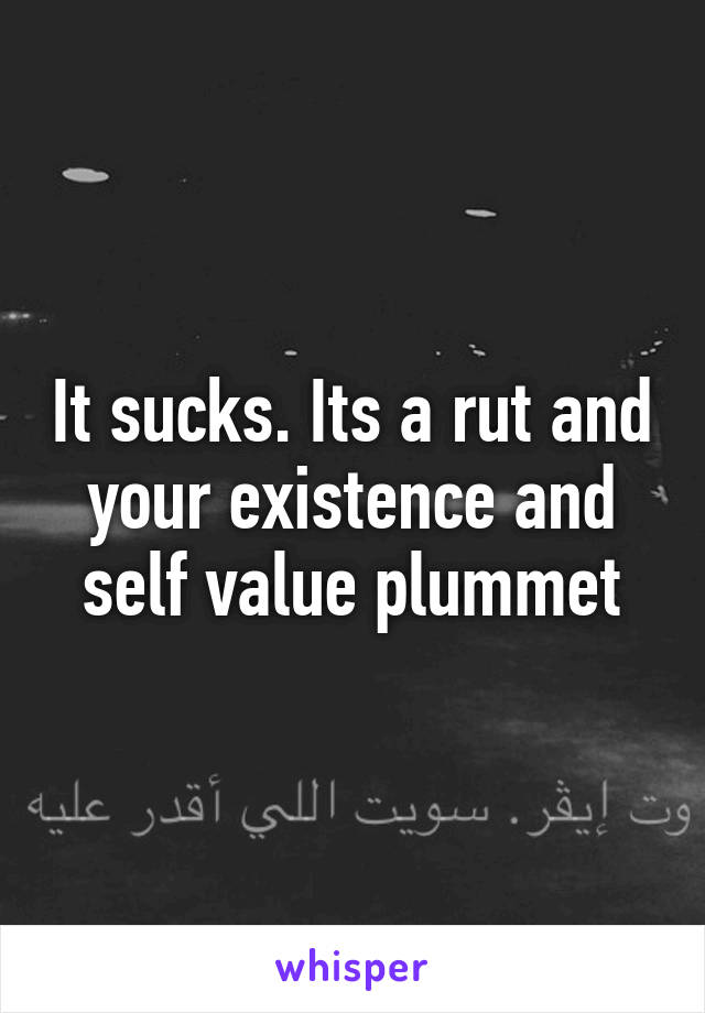 It sucks. Its a rut and your existence and self value plummet