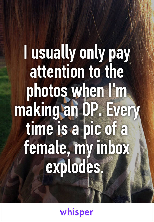 I usually only pay attention to the photos when I'm making an OP. Every time is a pic of a female, my inbox explodes. 