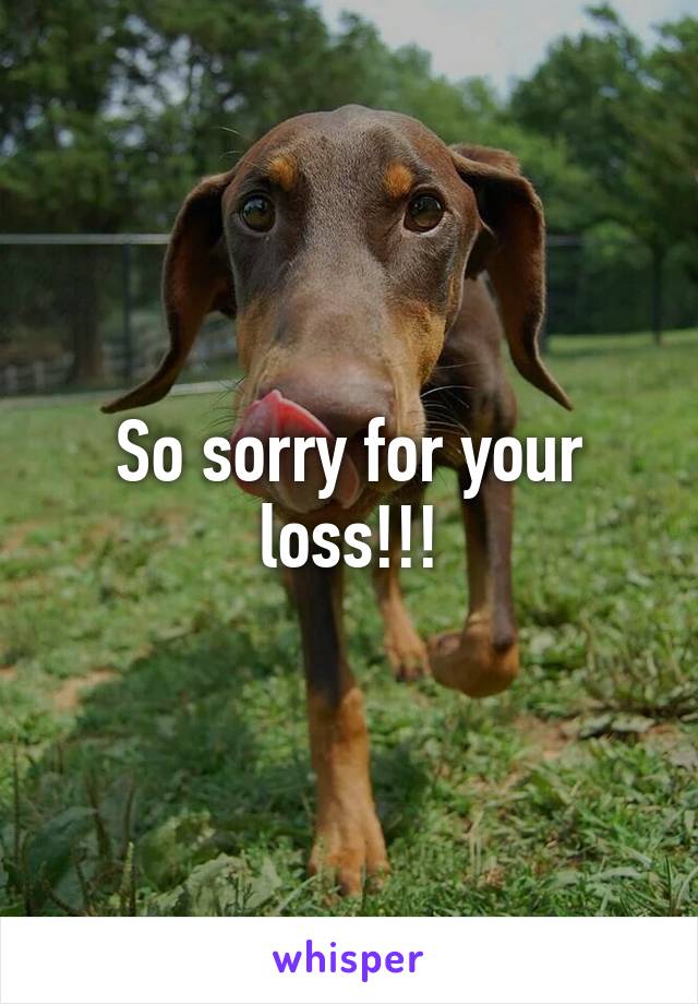 So sorry for your loss!!!