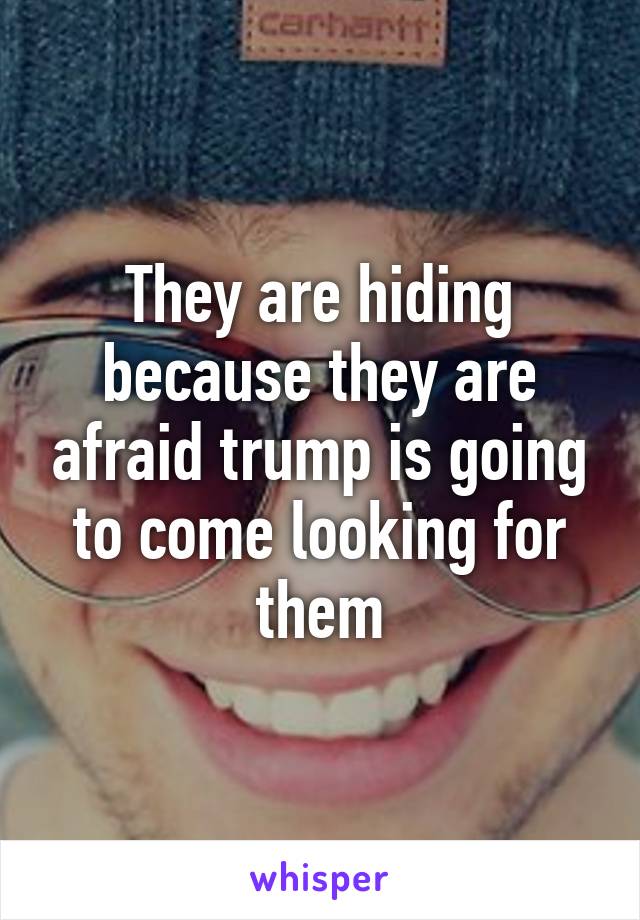 They are hiding because they are afraid trump is going to come looking for them