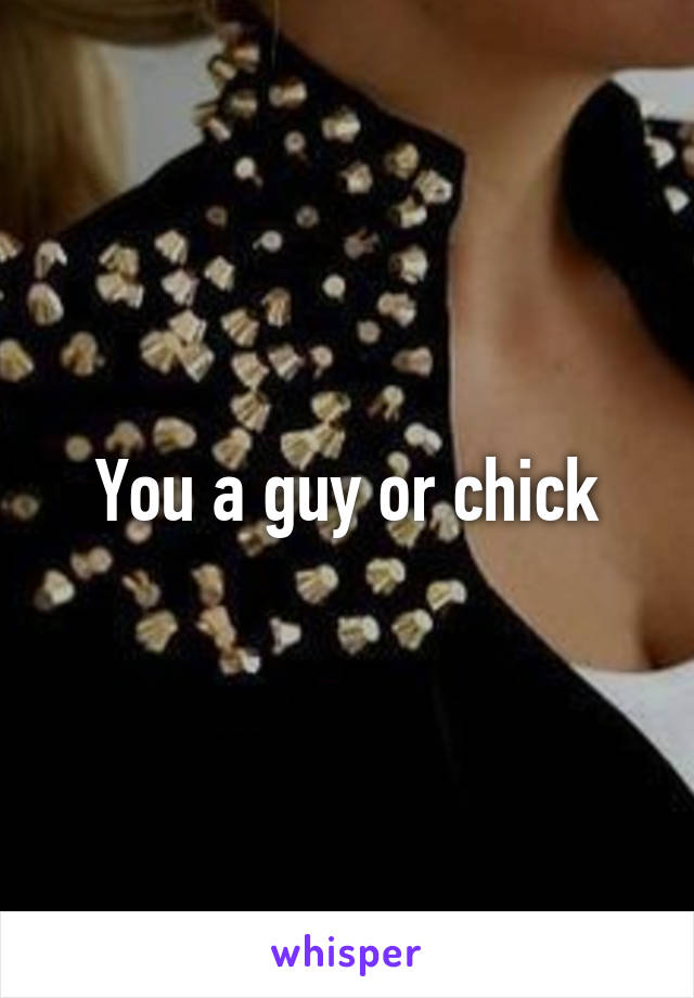 You a guy or chick